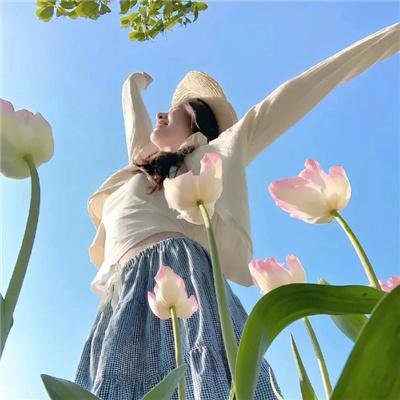 林肯律师第三季